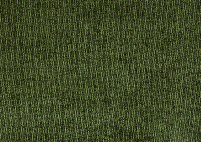 Bravo, Forest - Fabric Only - Image 3